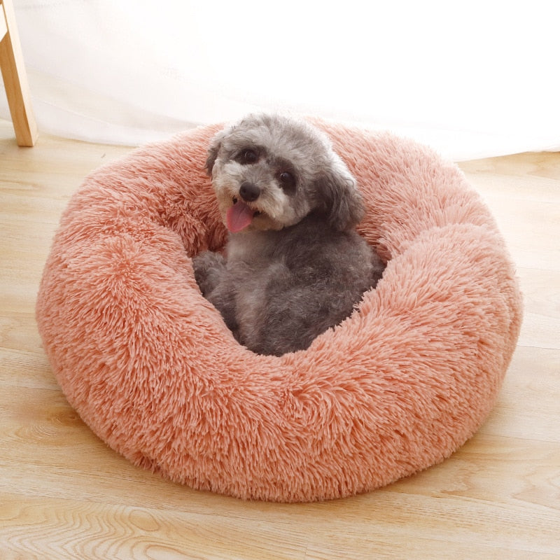 Donut Dog Bed