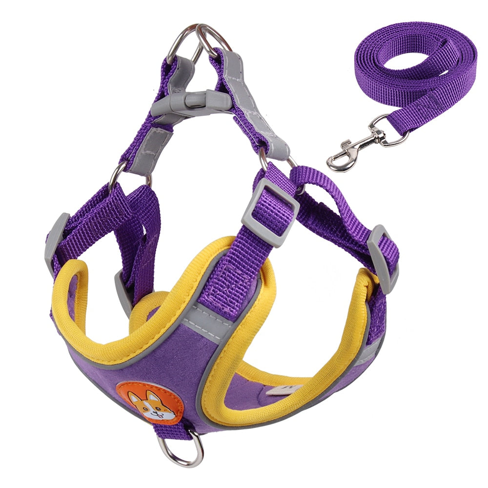 Reflective Dog No-Pull Harness and Leash